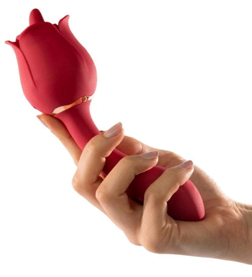 Róża "Mały Książe"