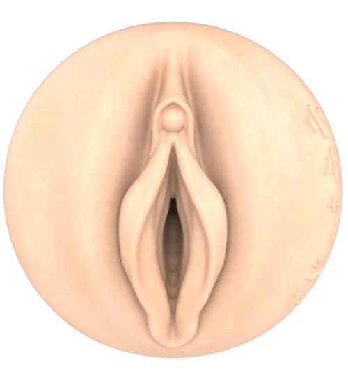 Fleshlight Fantasy Sasha - struktura Ecchi