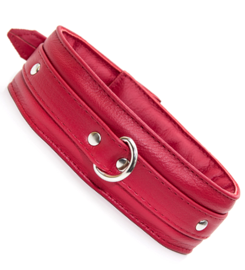 Czerwona skórzana obroża