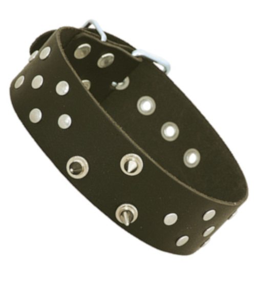 Obroża z kolcami i puklami