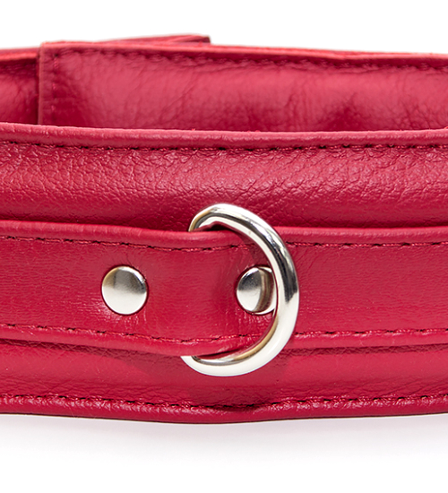 Czerwona skórzana obroża